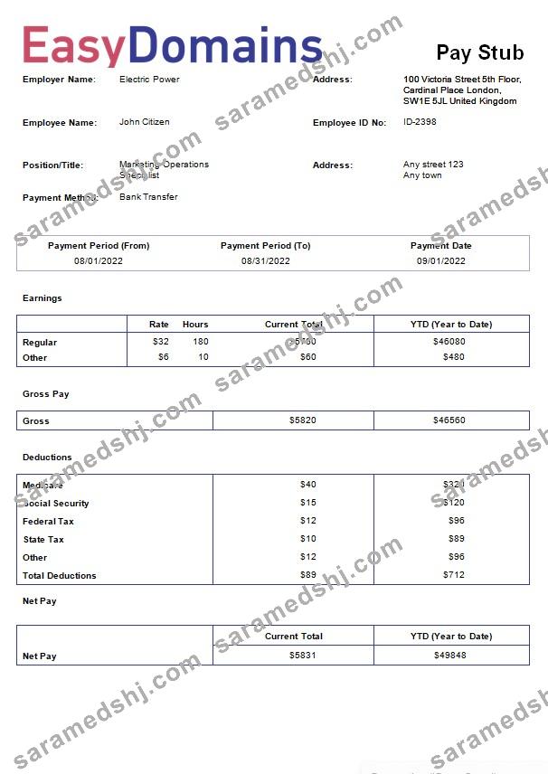 domain name registration company payslip template in Word and PDf formats